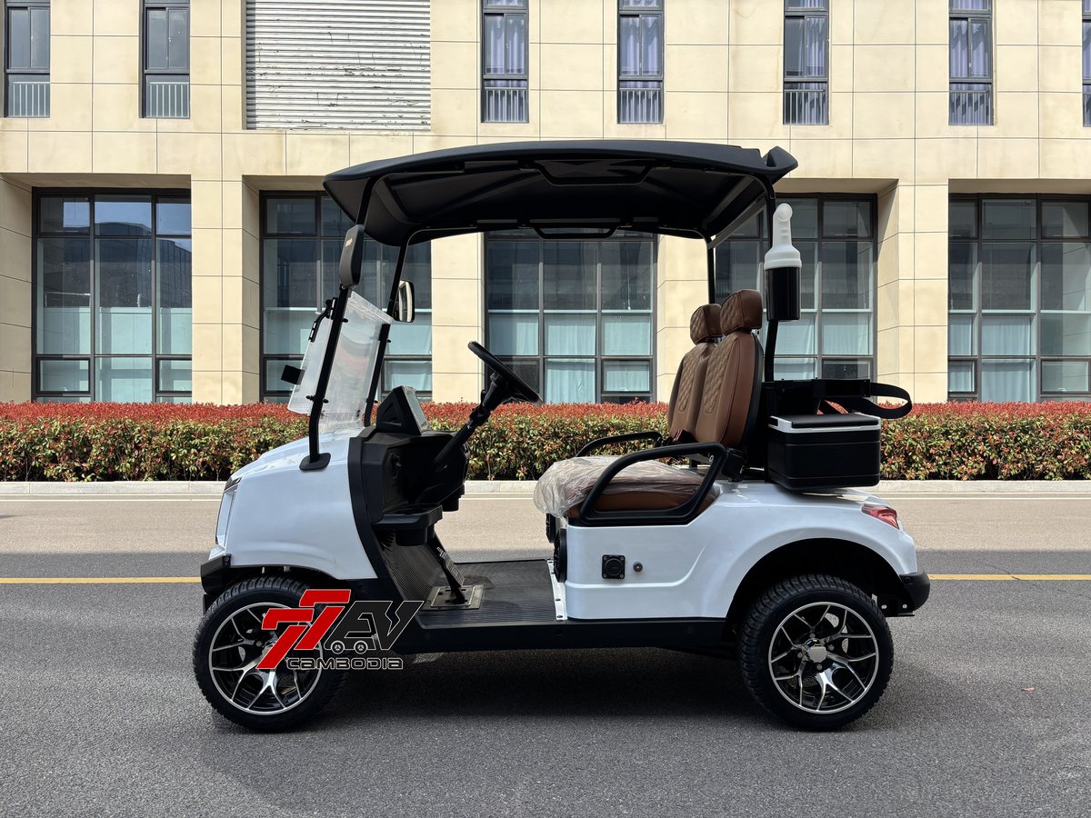 2-passenger personal and fleet model
